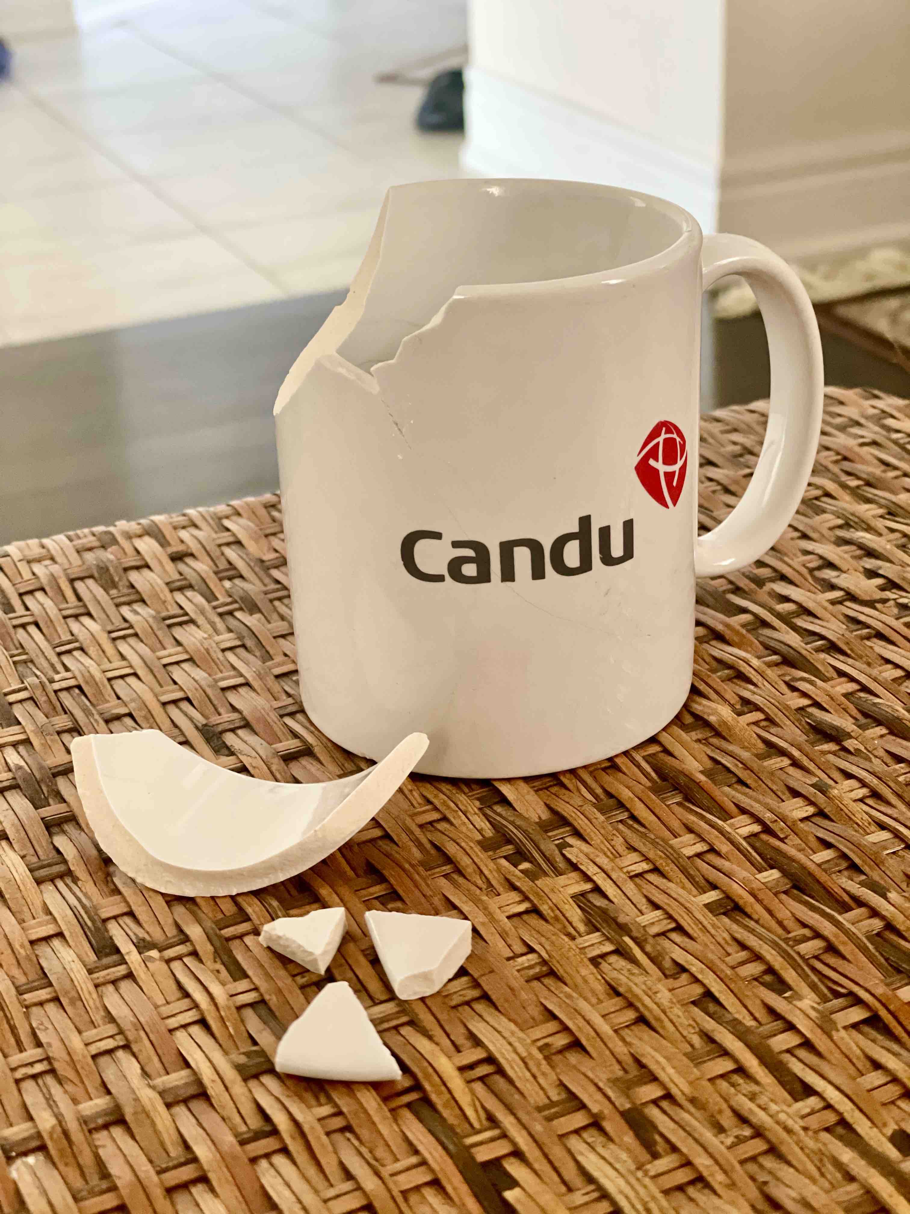 Candu Mug